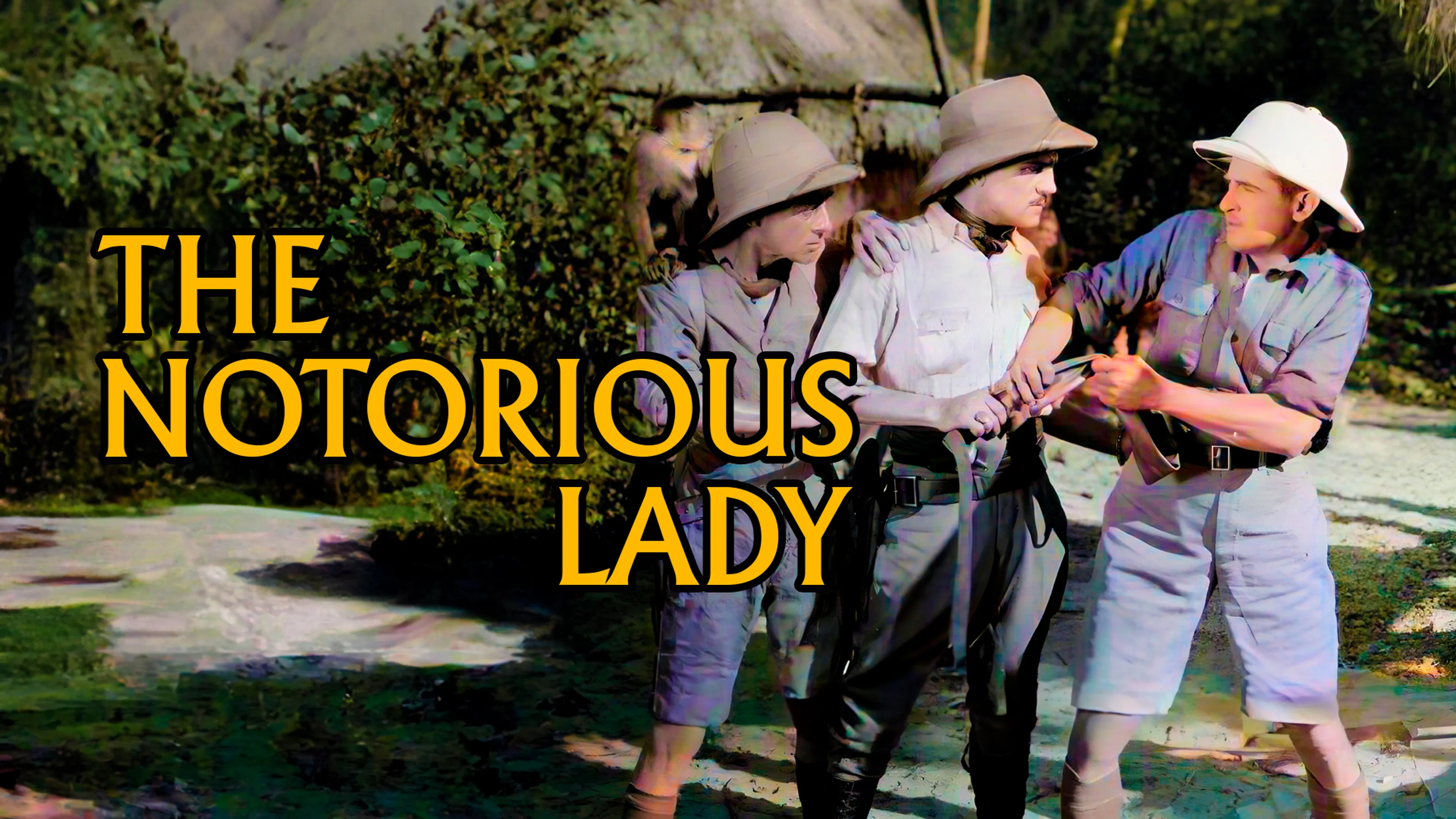 The Notorious Lady poster